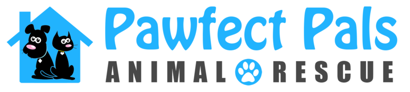 pawfectpalsanimalrescue
